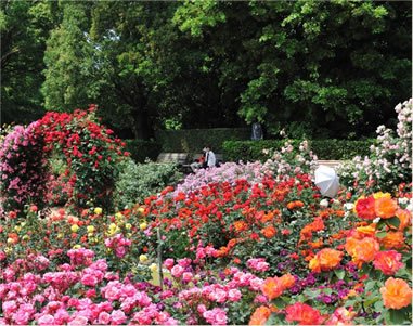 福岡市動植物園