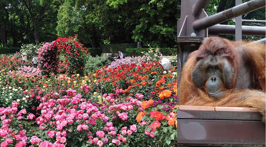 福岡市動植物園