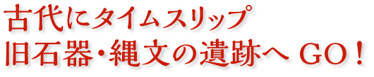 手づくりの温かさに出合う 京町屋でつまみ細工体験