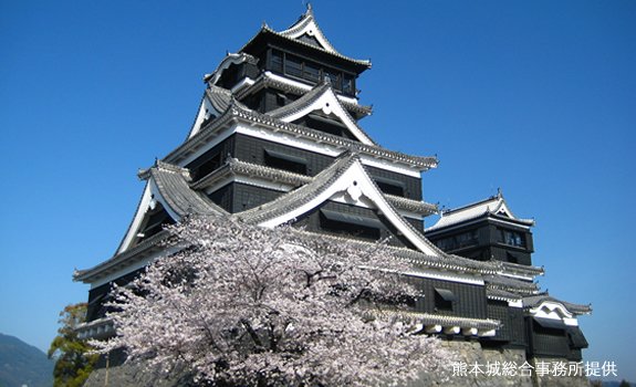 やっぱり定番！熊本城！