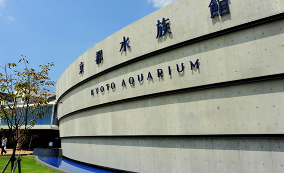 京都水族館