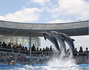 大分マリーンパレス水族館うみたまご