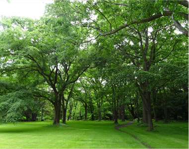 北海道大学植物園