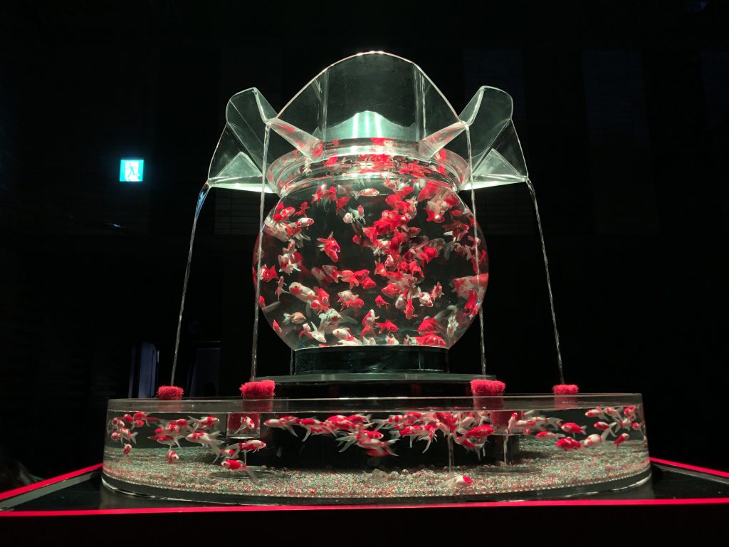 アートアクアリウム展21 博多 金魚の祭 ホテル法華クラブ福岡 公式