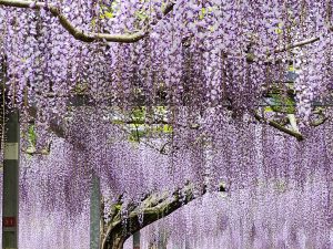 ホテル法華クラブ鹿児島